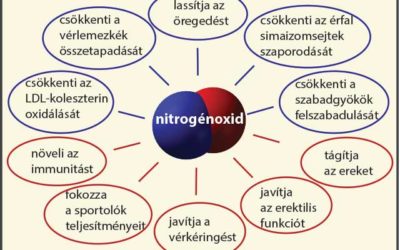 Mi az a Nitrogén-oxid?  És miért olyan fontos nekük?